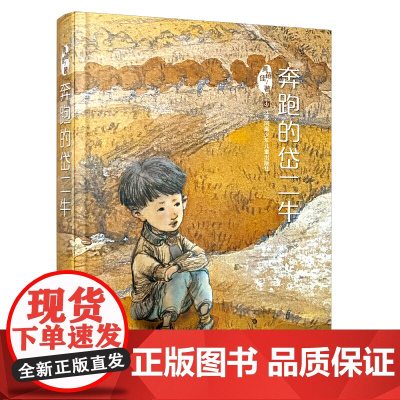 黄蓓佳经典代表作:奔跑的岱二牛(精装本)