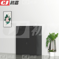 初嘉WJGT-035钢制文件柜窄边资料柜拆装档案柜带锁储物柜纯黑二斗矮柜