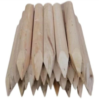 君耀兴测量木桩