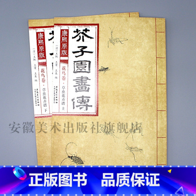 花鸟卷 草虫花卉谱上下册 [正版]彩色版任选康熙原版 芥子园画传全13册 梅兰竹菊 翎毛花卉谱上下 草虫花卉谱上下 人物