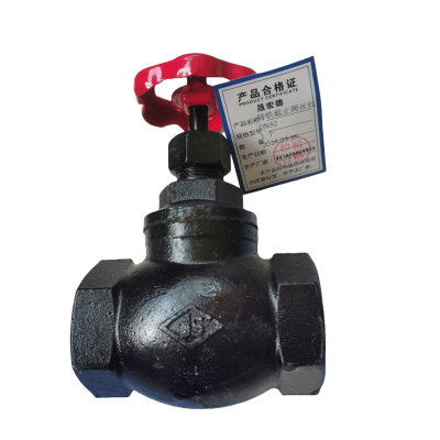 晟宏德 铸铁截止阀 丝扣 DN32 个