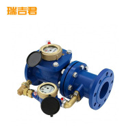 瑞吉君 复式水表 DN200 个