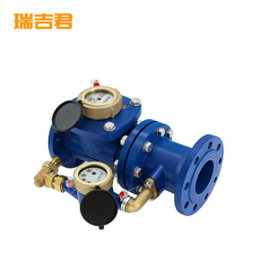 瑞吉君 复式水表 DN200 个