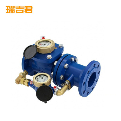 瑞吉君 复式水表 DN200 个
