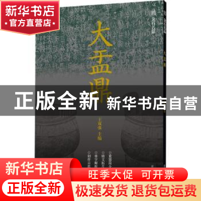 正版 大盂鼎 王双强主编 浙江人民美术出版社 9787534089282 书籍