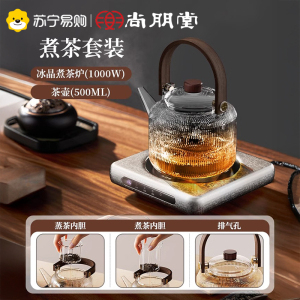 尚朋堂电陶炉煮茶壶玻璃烧水壶围炉煮茶器养生壶2025新款泡茶专用冰晶-条纹壶+蒸煮茶漏套装套装