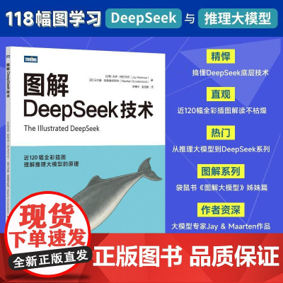 图解DeepSeek技术 deepseek教程DeepSeek项目原理开发大模型应用开发agent智能体RAG
