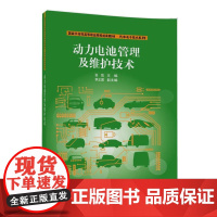动力电池管理及维护技术
