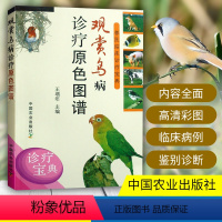 [正版]观赏鸟病诊疗原色图谱 笼养鸟驯养技法与疾病防治观赏鸟疾病诊疗 笼养鸟疾病预防治疗书 笼中鸟养殖与疾病诊断与预防