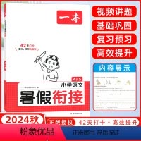 语文 小学四年级 [正版]全国通用 2024年秋 语文 暑假衔接四升五年级 人教版 暑假作业同步阅读专项训练书小学4升
