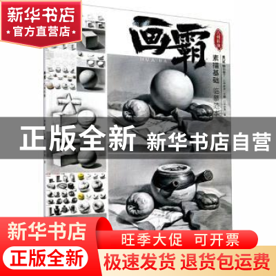 正版 画霸-几何形体 王小龙,李家友 重庆出版社 9787229149994 书