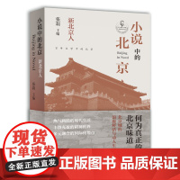 小说中的北京 新北京人(张莉教授主编,古城的现代风景,北漂青年的心灵世界,当代都市的情感地图) 张莉 主编 北