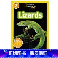 [正版]英文原版绘本National Geographic Kids Level2:Lizards 蜥蜴 国家地理分级