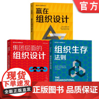 正版 组织设计与管理系列 组织设计 组织管理 集团管理 九项测试 组织角色 高管 流程 工具