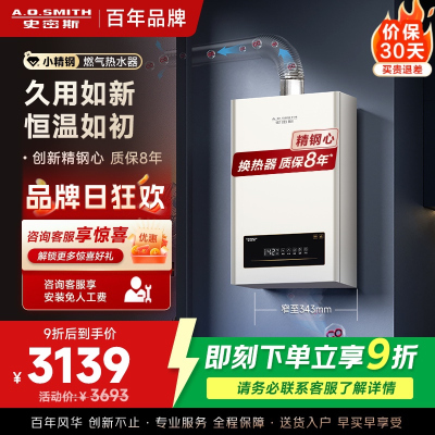 AO史密斯新品小体积13升精钢燃气热水器 JSQ26-EC3 负压燃烧更安全 精控恒温 家用持久恒温大水量