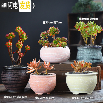 三维工匠多肉花盆组合套装创意个性粗陶透气肉肉植物老桩大小花盆 雪花釉组合5个 中等花盆容器