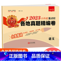 [通用版]小升初真题卷 语文 小学升初中 [正版]2023新版王朝霞小升初重点校各地真题精编卷语文数学英语人教版全国通用