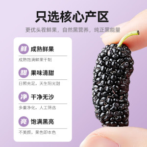杞里香 紫罐甄选桑葚干200g