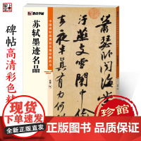 墨点字帖 中国碑帖高清彩色精印解析本 苏轼墨迹名品 成人毛笔书法练习字帖视频讲解藏家珍藏
