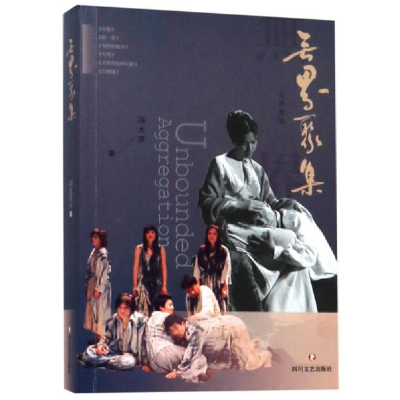 正版新书]无界聚集冯大庆9787541151682