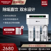 汉斯顿/Hunson家用厨下直饮RO反渗透净水器净水机1503 双膜双水直饮 滤芯更换提醒