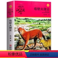 [正版]动物小说大王沈石溪品藏书系 母豺火烧云 书 中小学生三年级四年级五六年级青少年儿童文学必读课外阅读书籍经典书目