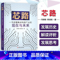 [正版]芯路:一书读懂集成电路产业的现在与未来 冯锦锋 郭启航 芯片技术书籍 芯片产业发展史 科技原理生产工艺未来展望