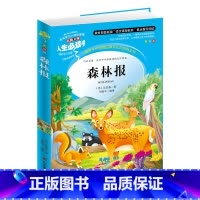 [正版]森林报 五年级 春夏秋冬四季全集小学生青少年版三四五六年级课外书3-4-5-6年级课外阅读书儿童文学世界经典名