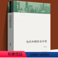 [正版]当代中国社会分层 生活书店出版李强教授 中国当代社会学经典中产 中国社会结构的变化理论报告论通俗易懂书籍中国社