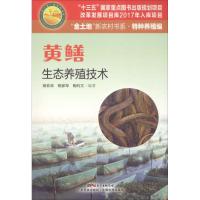 正版新书]黄鳝生态养殖技术杨菲菲9787535969132