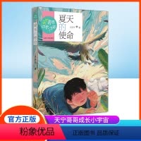夏天的使命 [正版]夏天的使命 王天宁著 fb天宁哥哥成长小宇宙 少年儿童课外阅读图书籍 山东大学出版社