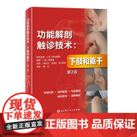 功能解剖触诊技术 下肢和躯干 第2版 运动康复 医学 解剖 日本重印20余次 北京科学技术