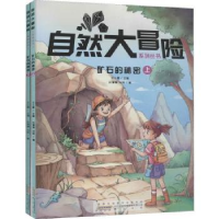 音像矿石的秘密(全2册)王士春