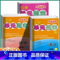 语文-人教版 一年级下 [正版]2024新版 校缘题库小学单元期末卷一年级二年级上三年级四年级五年级下六年级上册下册语文