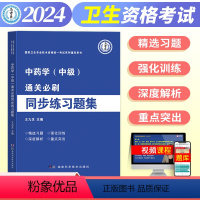 [正版]新版2024年通关必刷同步练习题集中药学中级主管药师国家卫生专业技术资格考试药剂师辅导用书康复士习题集马军医