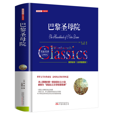 正版新书]巴黎圣母院(全译插图版)/经典名著价值阅读 [The Hu