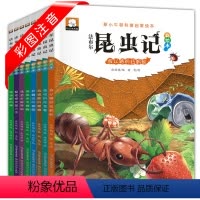 法布尔昆虫记:全彩美绘本 [正版]法布尔昆虫记 儿童绘本全套8册 注音版6-12岁一二三年级小学生必读课外书籍儿童文学故