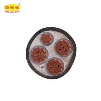 傻实在 电缆 国标全项保检 ZC-YJV 3*25mm²+1*16mm² 米