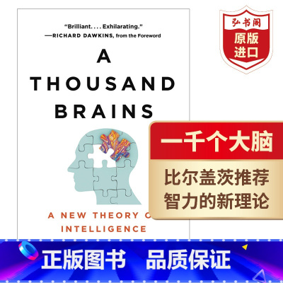 [正版]一千个大脑 智力的新理论 英文原版 千脑新的智能 A Thousand Brains A New Theory