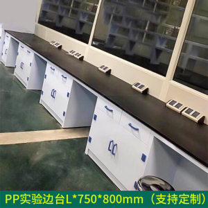 正斌全钢实验台钢木PP边台柜试验台化验室工作台实验室桌操作台定制(每米单价)[工厂现做 7天内发货]
