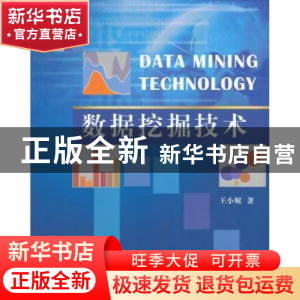 正版 数据挖掘技术 王小妮著 北京航空航天大学出版社 9787512413