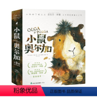 小鼠奥尔加:全3册 [正版]小鼠奥尔加全3册 精装海豚绘本花园小熊帕丁顿系列姊妹篇儿童3-6岁幼儿园宝宝早教幼儿启蒙小