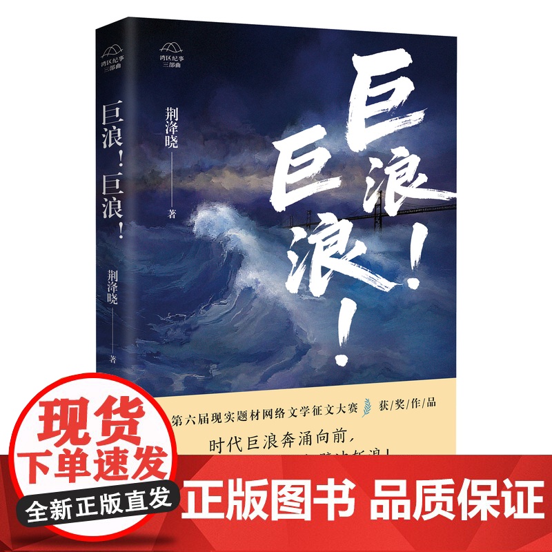 巨浪!巨浪! 现实题材网文大神荆洚晓“湾区纪事三部曲”第一部 大湾区 时代浪潮 个体命运 长篇小说 花城出版社正版书籍