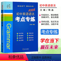 初中英语语法考点专练 [正版]2024龙中龙初中英语语法考点专练789年级英语辅导资料全国通用 初中七八九年级上下册英语