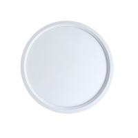 洛安斯 LED超薄吸顶灯 23CM 20W 个