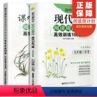 现代文+课外文言文(全2本) 九年级/初中三年级 [正版]2024新版周计划初中语文基础知识现代文言文数学计算几何代数题