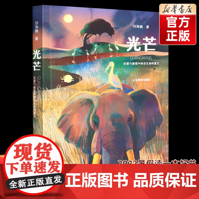 2022暑假读一本好书 光芒刘海栖新作儿童文学小说中小学生 课外书经典读物青少年课外阅读书籍感悟爱与生命的价值