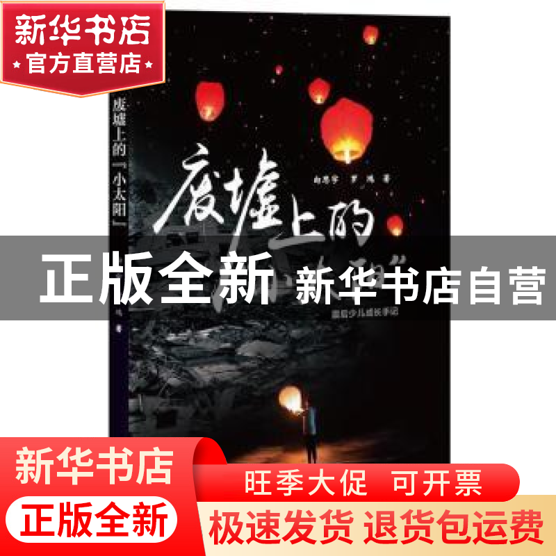 正版 废墟上的“小太阳” 向思宇,罗鸿著 四川文艺出版社 978754