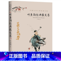 叶圣陶经典散文集 [正版]全套21册中国文学大师经典文库合集文学小说精选书籍图书老舍经典作品全集朝花夕拾鲁迅的书朱自清散