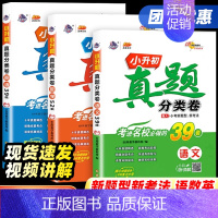 语文 小学升初中 [正版]2024版小升初真题分类卷语文数学英语 重点中学招生小升初分类集训必刷题专项训练押题复习测试卷